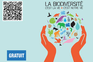 photo Regards Croisés sur la Biodiversité : Exposition & Immersion Numérique