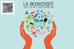 photo Regards Croisés sur la Biodiversité : Exposition & Immersion Numérique