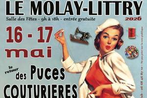 photo Puces couturières et jouets anciens