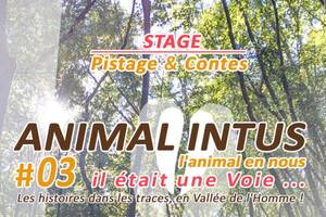 Stage Pistage et conte