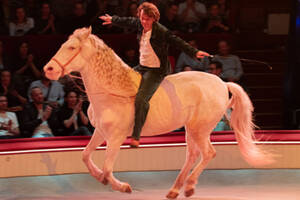 Alex Lutz - Sexe, Grog & Rocking Chair