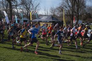 photo Trail des Terroirs Vosgiens et ses Randos Gourmandes 2026