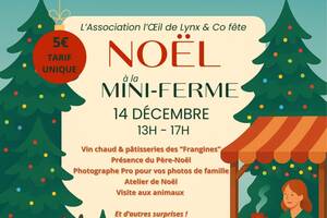 Noël à la Mini-Ferme