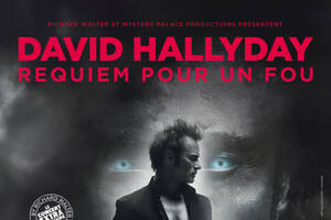 David Hallyday requiem pour un fou