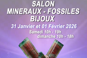 photo Salon minéraux, fossiles, bijoux de créateur.