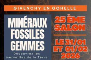 photo 25ème salon minéraux fossiles et gemmes