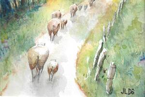 photo Aquarelles