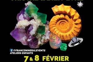 photo 40ème Salon des Minéraux de Bourg-en-Bresse - Cristaux, Fossiles, Gemmes, Météorites, Bijoux, Bien-être