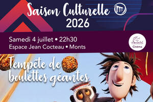 photo Tempête de boulettes géantes