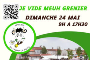 photo JE VIDE MEUH GRENIER