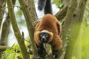 photo Le week-end des Projets Nature