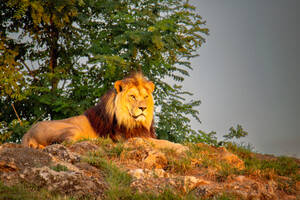 photo Vos soirées d’exception