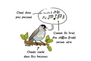 photo Balade sonore à l’écoute des oiseaux