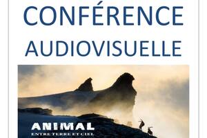 photo Animal, entre terre et ciel