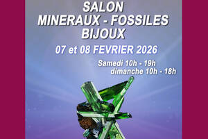 photo Salon minéraux, fossiles, bijoux de créateur et bien-être.