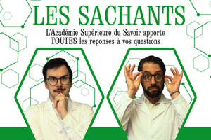 photo Les Sachants - Spectacle d'impro