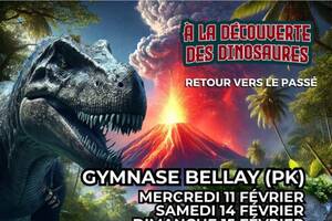 photo Exposition de Dinosaures