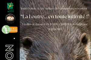 photo Projection du Film « La loutre en toute intimité »
