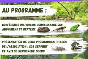 photo Conférence : A la découverte des amphibiens et reptiles