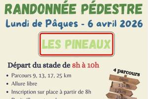 photo Randonnée pédestre Les Foulées Pineaulaises