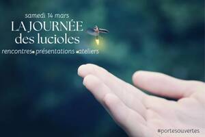 photo Portes ouvertes Luciole espace pluridisciplinaire bien-être