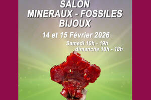 photo Salon minéraux, fossiles, bijoux de créateur.