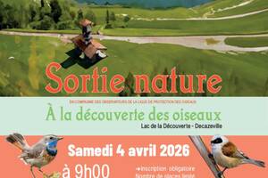 photo Sortie nature à la découverte des oiseaux