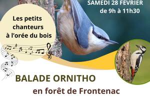 photo BALADE ORNITHO 