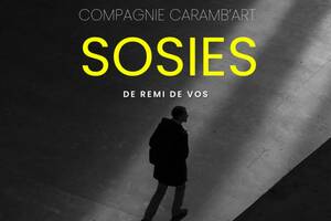 photo THEATRE Sosies de Rémi De Vos