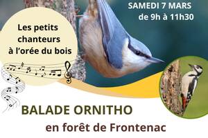 photo BALADE ORNITHO 