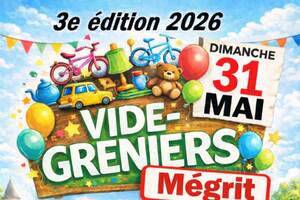 photo 3eme vide grenier Mégrit (22)