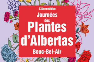 photo Du 29 au 31 mai 2026 un week-end dédié aux plantes rares aux Jardins