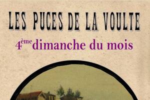 photo Les Puces de La Voulte
