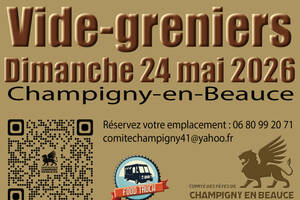 photo brocante vide-greniers le 24 mai 2026