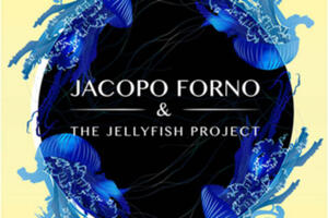 photo Jellyfish Project Sortie du 1er album