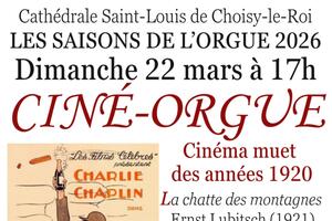 photo Ciné/concert, Séance de cinéma des années 1920