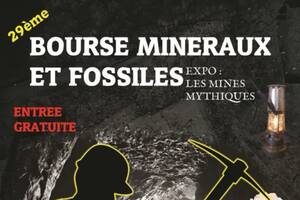 photo 29ème Bourse Minéraux et Fossiles