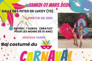 photo Bal costumé du carnaval