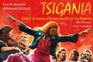 photo Spectacle TSIGANIA