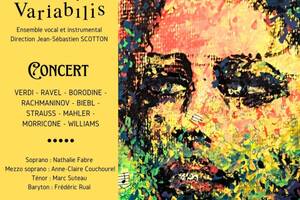 photo Variabilis, concert de musique classique