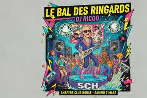LE BAL DES RINGARDS - DJ Ricoo