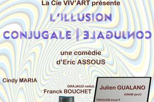 photo Comédie : L'illusion conjugale