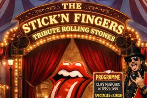 photo A ROCK'N ROLL CIRCUS - UNE PLONGEE DANS LES SIXTIES