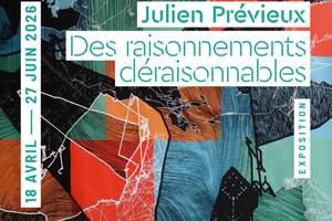 photo Des raisonnements déraisonnables - Julien Prévieux