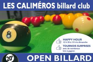 photo 20ème open de billard anglais