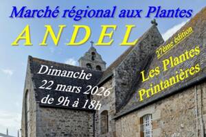photo MARCHE REGIONAL AUX PLANTES
