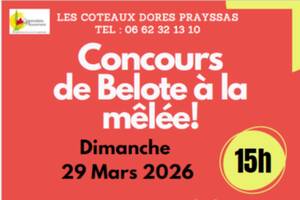 photo Concours de belote à la mêlée