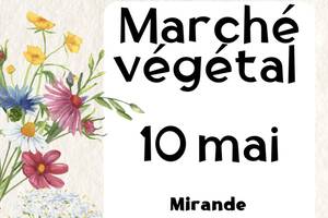 photo Marché végétal