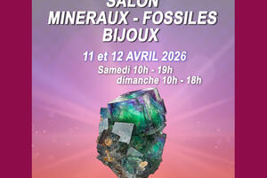 photo Salon minéraux, fossiles, bijoux de créateur.