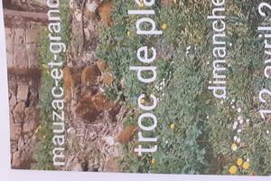 photo Troc plantes